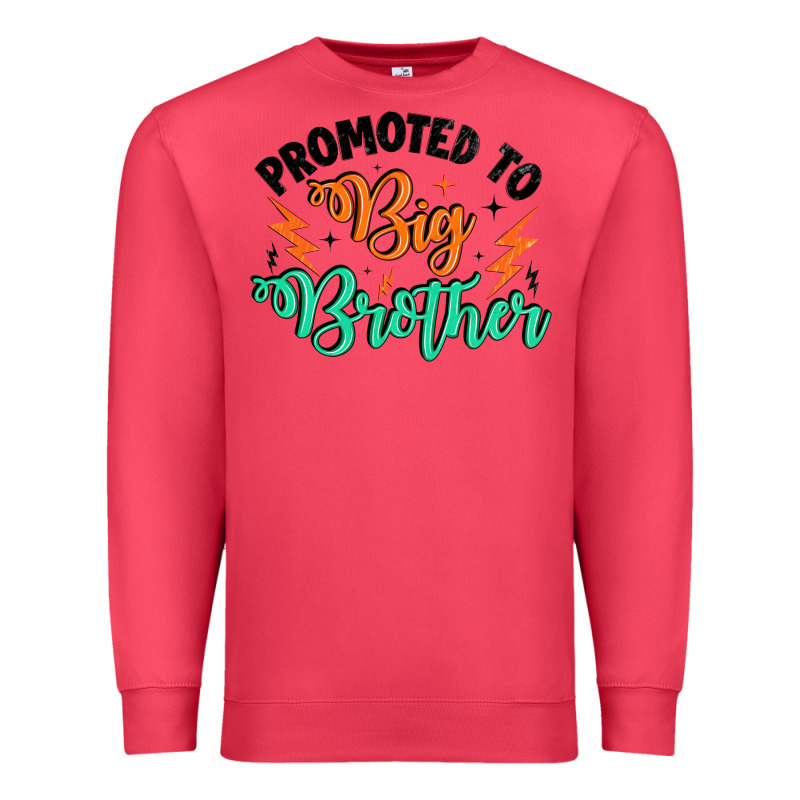 Promoted To Big Brother Premium Sweatshirt by Artiststas | Teevron