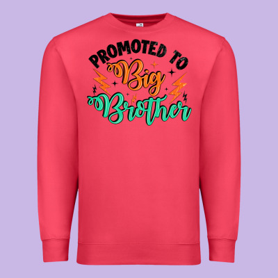Promoted To Big Brother Premium Sweatshirt Designed By Artiststas
