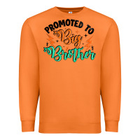 Carrot promoted to big brother Premium Sweatshirt - Artiststas