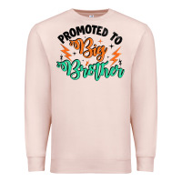 Pale Pink promoted to big brother Premium Sweatshirt - Artiststas