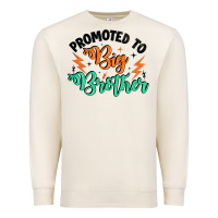 Sandshell promoted to big brother Premium Sweatshirt - Artiststas