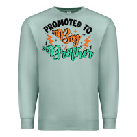 Seafoam promoted to big brother Premium Sweatshirt - Artiststas