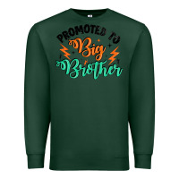 Sports Green promoted to big brother Premium Sweatshirt - Artiststas