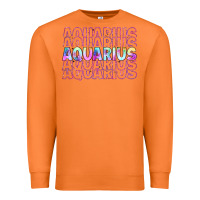 Carrot aquarius Premium Sweatshirt - Artiststas