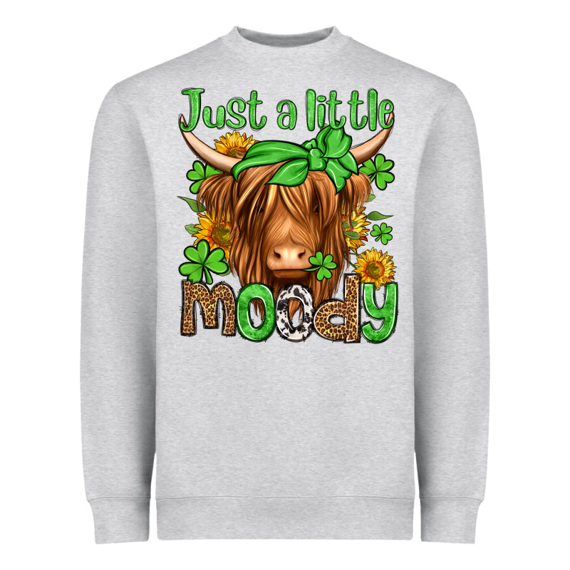 Just A Little Moody St Patricks Day Heavyweight Sweatshirt by Jasminsmagicworld | Teevron