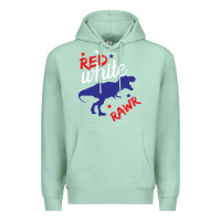 Seafoam 4th of July Dinosaur Premium Hoodie - Bettercallsaul