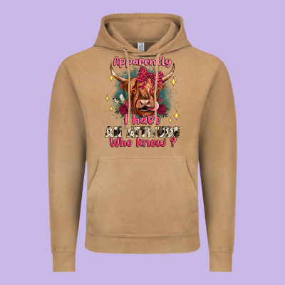 Apparently I Have An Attitude Who Knew Vintage Hoodie Designed By Jahusdesignshop