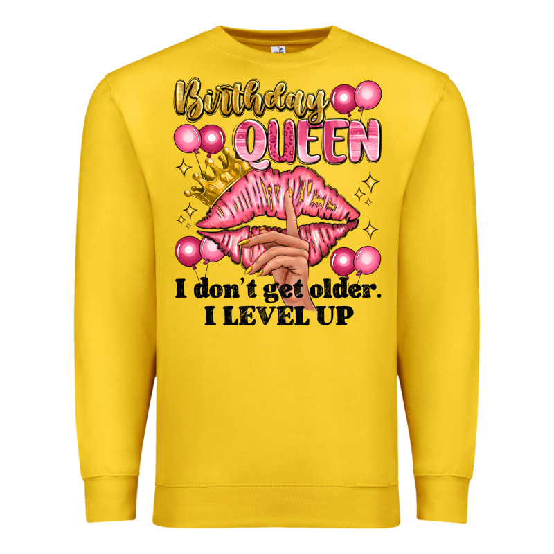 Birthday Queen I Dont Get Older I Level Up Premium Sweatshirt by Artiststas | Teevron