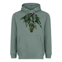 Sage Amazon Elephant Ear Heavyweight Hoodie - LillyAllenDesigns