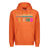 Carrot Be Kind Premium Hoodie - Bettercallsaul