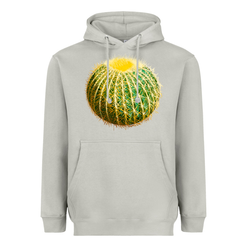Golden Barrel Cactus Heavyweight Hoodie by LillyAllenDesigns | Teevron