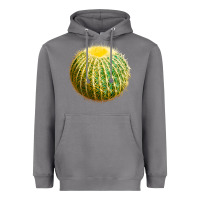 Storm Golden Barrel Cactus Heavyweight Hoodie - LillyAllenDesigns