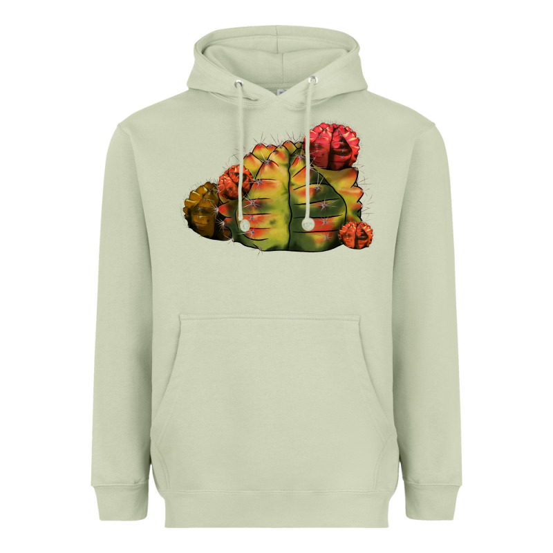 Gymnocalycium Variegated Cactus Heavyweight Hoodie by LillyAllenDesigns | Teevron