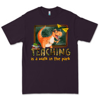 Plum teaching is a walk in the park Premium Tee - texasbilliewilder