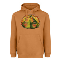 Meerkat Gymnocalycium Variegated Cactus Heavyweight Hoodie - LillyAllenDesigns