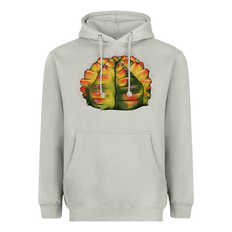 Gymnocalycium Variegated Cactus Heavyweight Hoodie by LillyAllenDesigns | Teevron