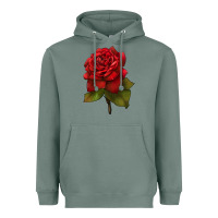 Sage Oklahoma Rose Illustrations Heavyweight Hoodie - LillyAllenDesigns