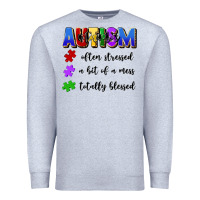 I'm A Hot Mess Always Stressed And Proudly Autism Premium Sweatshirt | Teevron