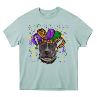 Arona Mardi Gras Pitbull with Hat Heavy Core Tee - RanaPortraitStore