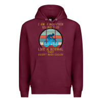 Burgundy I Am A Mountain Biking Dad Premium Hoodie - Bettercallsaul