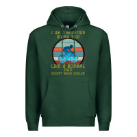 Sports Green I Am A Mountain Biking Dad Premium Hoodie - Bettercallsaul
