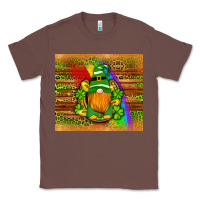Chestnut st patricks gnomes rainbow Classic Tee - Artiststas
