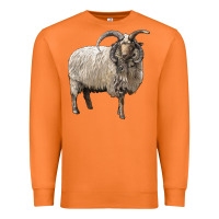Carrot navajo churro sheep Premium Sweatshirt - LillyAllenDesigns
