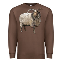Chestnut navajo churro sheep Premium Sweatshirt - LillyAllenDesigns