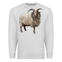 Dove Grey navajo churro sheep Premium Sweatshirt - LillyAllenDesigns
