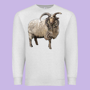 Navajo Churro Sheep Premium Sweatshirt Designed By Lillyallendesigns