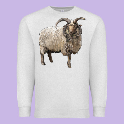 Navajo Churro Sheep Premium Sweatshirt Designed By Lillyallendesigns