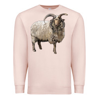 Pale Pink navajo churro sheep Premium Sweatshirt - LillyAllenDesigns
