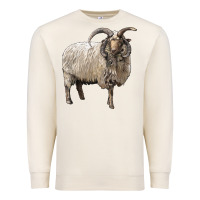 Sandshell navajo churro sheep Premium Sweatshirt - LillyAllenDesigns