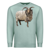 Seafoam navajo churro sheep Premium Sweatshirt - LillyAllenDesigns