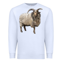 White navajo churro sheep Premium Sweatshirt - LillyAllenDesigns
