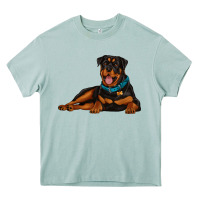 Arona rottweiler Heavy Core Tee - Artiststas