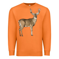 Carrot white tailed buck deer Premium Sweatshirt - LillyAllenDesigns