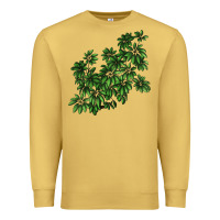 Antique Gold Botanical Schefflera Illustrations Premium Sweatshirt - LillyAllenDesigns