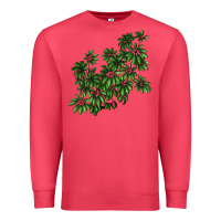 Cardinal Botanical Schefflera Illustrations Premium Sweatshirt - LillyAllenDesigns