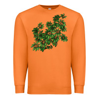 Carrot Botanical Schefflera Illustrations Premium Sweatshirt - LillyAllenDesigns