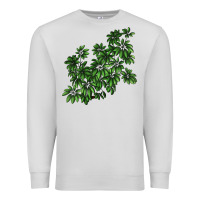 Dove Grey Botanical Schefflera Illustrations Premium Sweatshirt - LillyAllenDesigns