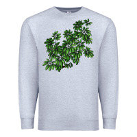 Heather Grey Botanical Schefflera Illustrations Premium Sweatshirt - LillyAllenDesigns