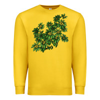 Lemon Botanical Schefflera Illustrations Premium Sweatshirt - LillyAllenDesigns