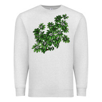 Oatmeal Heather Botanical Schefflera Illustrations Premium Sweatshirt - LillyAllenDesigns