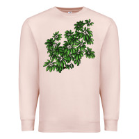 Pale Pink Botanical Schefflera Illustrations Premium Sweatshirt - LillyAllenDesigns