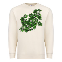 Botanical Schefflera Illustrations Premium Sweatshirt | Teevron