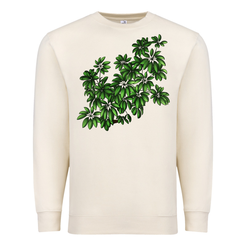 Botanical Schefflera Illustrations Premium Sweatshirt by LillyAllenDesigns | Teevron