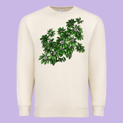 Botanical Schefflera Illustrations Premium Sweatshirt Designed By Lillyallendesigns