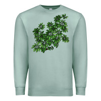 Seafoam Botanical Schefflera Illustrations Premium Sweatshirt - LillyAllenDesigns