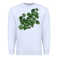 White Botanical Schefflera Illustrations Premium Sweatshirt - LillyAllenDesigns